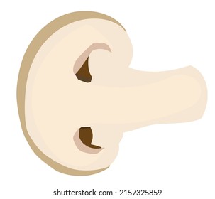 Half mushroom vector illustration design isolated on bright white background.