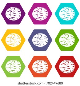 Half of nutmeg icon set many color hexahedron isolated on white vector illustration