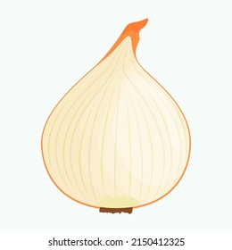 Half of onion isolated on background. Flat vector illustration