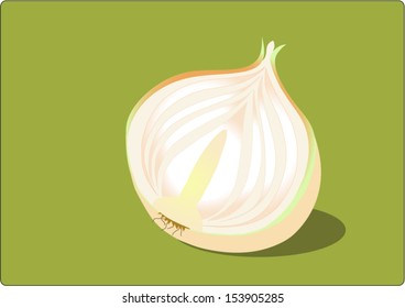 a half of onion on green background