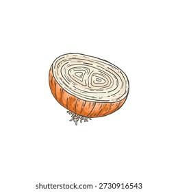 Metade de uma cebola, uma fatia. Esboço. Doodle. Legumes frescos e orgânicos. Comida saudável. Ervas, especiarias perfumadas. Ilustração vetorial isolada no fundo branco.