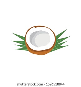 Half opened coconut tree and green palm leaf vector illustration 