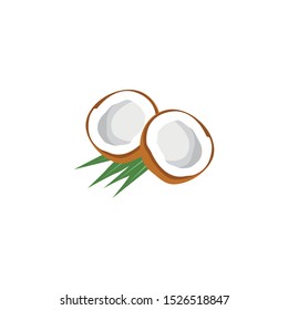 Half opened coconut tree and green palm leaf vector illustration 
