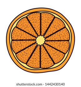 half orange citrus fruit fresh icon