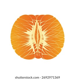 La mitad de la fruta naranja elemento de ilustración