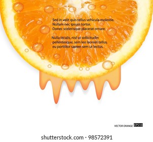 Half orange fruit with water drops isolated on white background. Vector illustration.