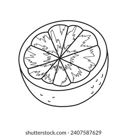 Medio ilustración dibujada a mano. Doodle de fruta naranja. Ilustración del vector aislada en fondo blanco
