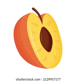 Half of orange peach on white background. Flat vector illustration