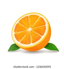 Half of orange vector illustration icon