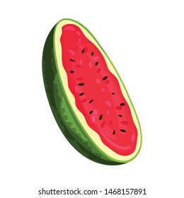 Half oval watermelon. Vector illustration on white background.