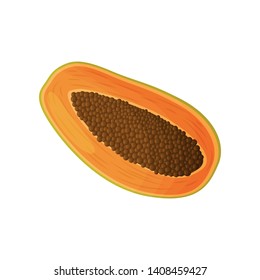 Half a papaya close up. Vector illustration.