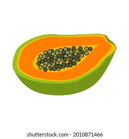 Half papaya. Exotic and tropical fruit. Ripe papaya fruit for design decoration, hand-drawn. Print for clothing, textiles, fabrics. Vector illustration.