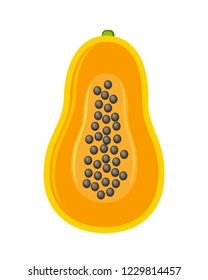 Half part of papaya fruit vector illustration isolated on white background. Exotic fruit