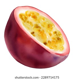 Half Passion Fruit with Seeds Isolated Hand Drawn Painting Illustration