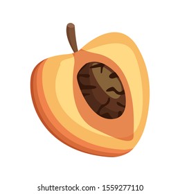 half peach icon over white background, vector illustration