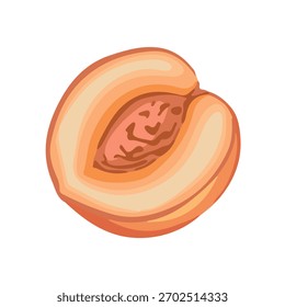 Half a peach, ingredient, vector illustration