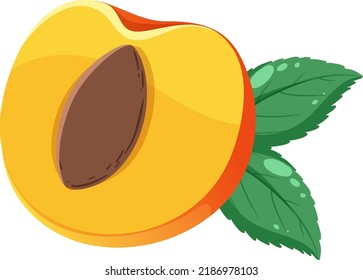Half of peach isolated illustration