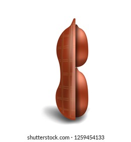 Half peanut in shell icon. Realistic illustration of half peanut in shell vector icon for web design