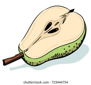 Half of pear cartoon image. Artistic freehand drawing.