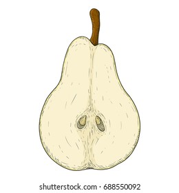 Half of pear. Colored hand drawn sketch. Vector illustration isolated on white background