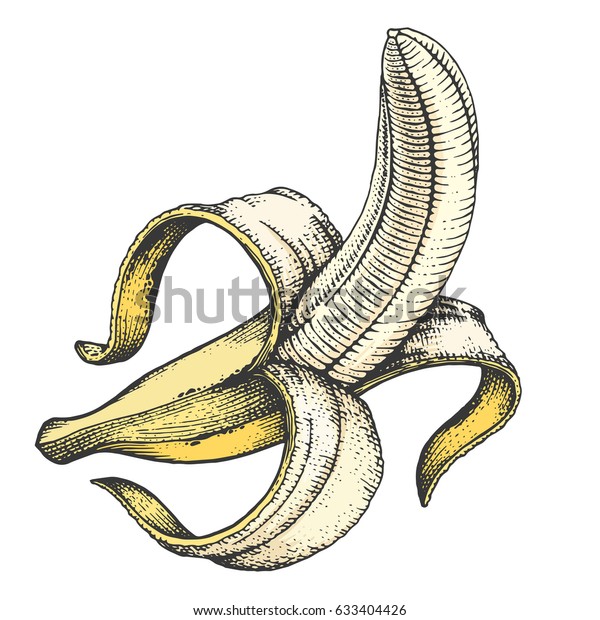 Half Peeled Banana Vector Handdrawn Illustration 633404426   Half Peeled Banana Vector Handdrawn 600w 633404426 