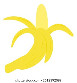 Half Peeled Banana vector illustration, hand drawn cartoon illustration of banana. Banana fruit for illustration for cards, designs, invitations, logos.