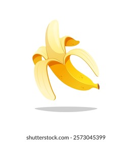 Half peeled banana vector isolated on white background.