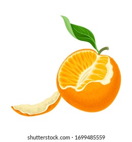 Half Peeled Mandarin or Tangerine Fruit with Green Leaves Isolated on White Background Vector Illustration