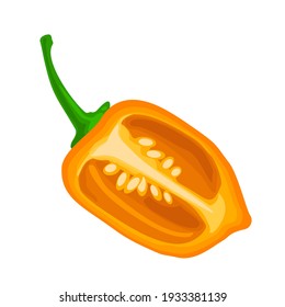 Half pepper habanero. Vector color illustration for menu, poster, label. Isolated on white background. Hand drawn design element
