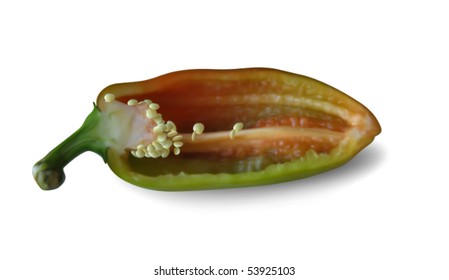 Half  pepper. Mesh is used