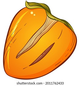 Halbpersimmon. Helle Vektorgrafik von bunten, halbsaftigen Persimmonen. Vektorgrafik einzeln auf weißem Hintergrund. Handzeichnung. Illustration von tropischen Früchten.