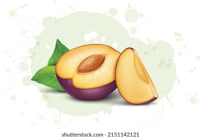 Half Piece of Fresh Plum Fruit vector illustration with plum slices and green leaves