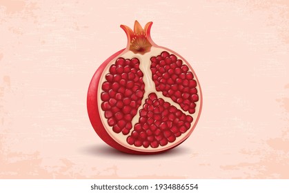 half piece of pomegranate vector illustration
