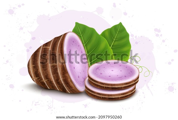 Half Piece of\
Taro Root Vegetable with Two round slices and Green leaves of taro\
root vegetable vector\
illustration