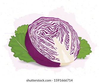 half piece of vector illustration with green leaves