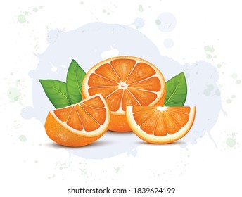 half pieces of fresh orange with orange slices vector illustration