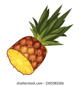 Half a pineapple. Vector illustration on a white background.
