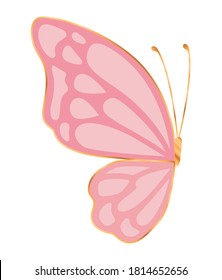 Half Butterfly Stock Illustrations Images Vectors Shutterstock