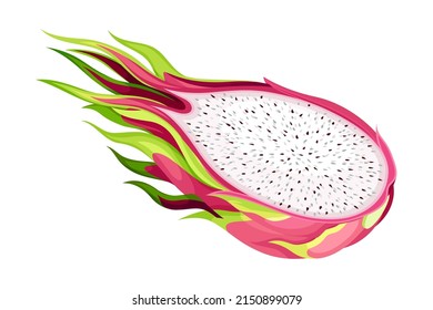 Half of Pitaya or Pitahaya Fruit of Cactus Species with White Flesh and Black, Crunchy Seed Vector Illustration