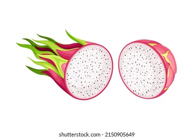 Half of Pitaya or Pitahaya Fruit of Cactus Species with White Flesh and Black, Crunchy Seed Vector Illustration