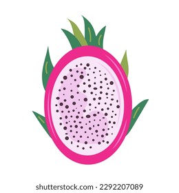 Half of pitaya or pitahaya fruit vector illustration. Exotic Latin American dragonfruit white cut with seeds in flat style