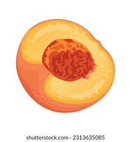 Half a pitted peach. Flat vector peach. 