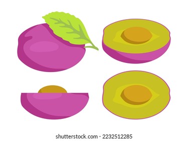 Half of plum from different angles vector illustrations set. Collection of cartoon drawings of different views of cut fruit with seed isolated on white background. Organic food, nature, diet concept