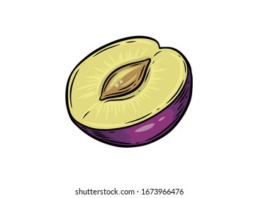 Mitad Pluma. Ilustración vectorial de ciruelas púrpura dibujada a mano aislada en fondo blanco.