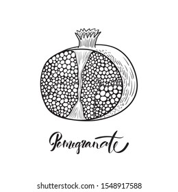 Half of pomegranate. Black and white vector illustration