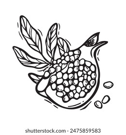 Half a pomegranate fruit with juicy pulp and leaves. Vector black and white illustration in linocut style on isolated background. Drawing design for food and drink packaging, menu, fabric, cards
