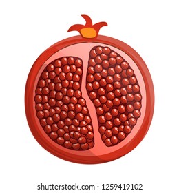 Half of pomegranate icon. Cartoon of half of pomegranate vector icon for web design isolated on white background