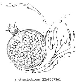 Half pomegranate with juice or water splash. Liquid drops. Vector illustration in hand drawn sketch doodle style. Line art ingredient for fresh juice isolated on white. Close up summer fruit.