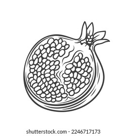 Halbpomegranat Linie Symbol Vektorgrafik. Handgezeichnete Umrissgrobfrüchte, halbgeschossiges RohGranatapfelat mit Samen zum Essen, Antioxidant-Vitaminprodukt für vegetarisches Dessert