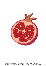 Half pomegranate with seeds inside vector illustration isolated on white background